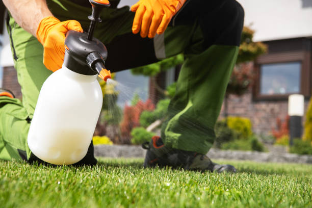 Reliable Fruit Heights, UT Pest Control Solutions