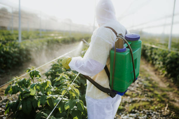 Best Mosquito Control Services  in Fruit Heights, UT